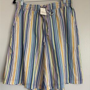 Men's Multicolor Stripe Drawstring Shorts